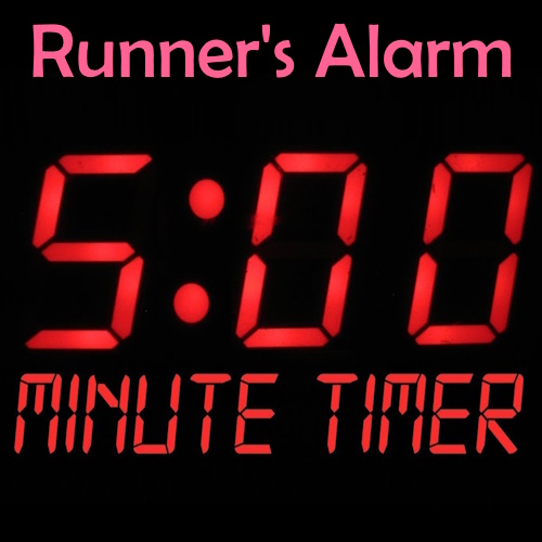 Alarm Every 5 Minutes
